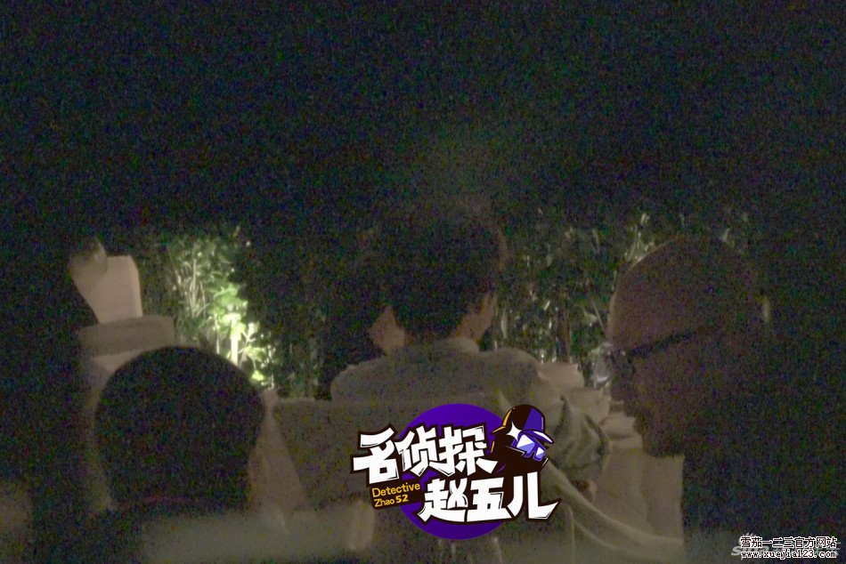组图:管虎夫妇共度热情桑巴夜 美酒雪茄不能少