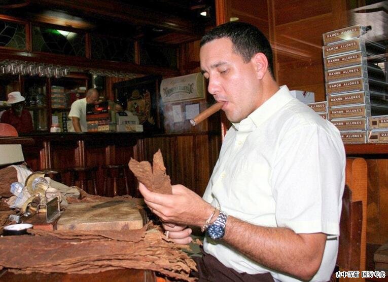 哈姆雷特·海梅·帕雷德斯:成为或不成为一名斗士