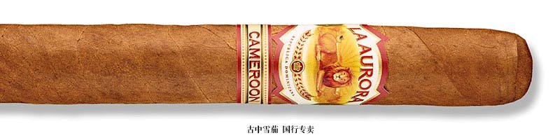 La Aurora 1903 Cameroon Churchill