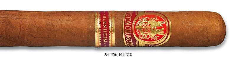 Winston Churchill Blenheim