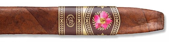 2025雪茄迷世界评分 第13名 多米尼加之花30年雪利桶 La Flor Dominicana 30 Years Chise
