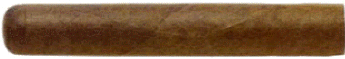 Petit Robusto Petit Robusto