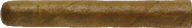 Corona Extra Corona Extra