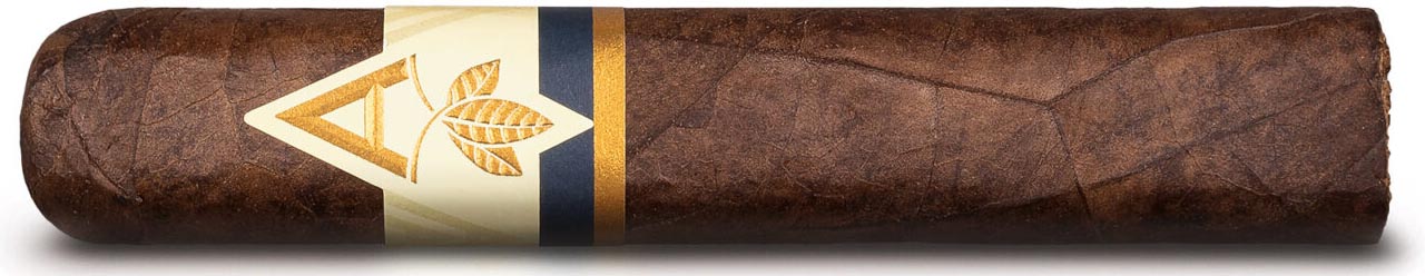 Artista Midnight Robusto