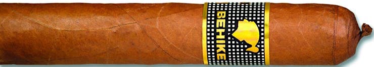 Cohiba Behike BHK 52 | 高希霸贝伊可BHK 52 | CA 2010 No.1