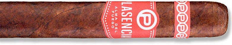 Plasencia Alma del Fuego Concepción ｜ 普拉森西亚 火之魂 康塞普西翁 | CA 2019 No.13