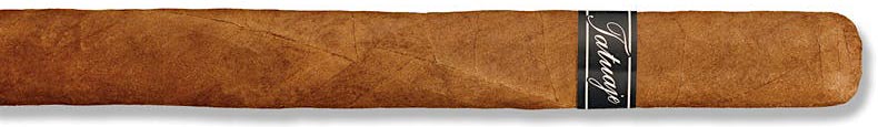 Tatuaje Black Petite Lancero ｜ 塔图阿赫 黑 小长矛 | CA 2025 No.3